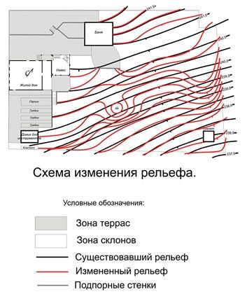 Рисунок деревьев осины Рисунок деревьев осины