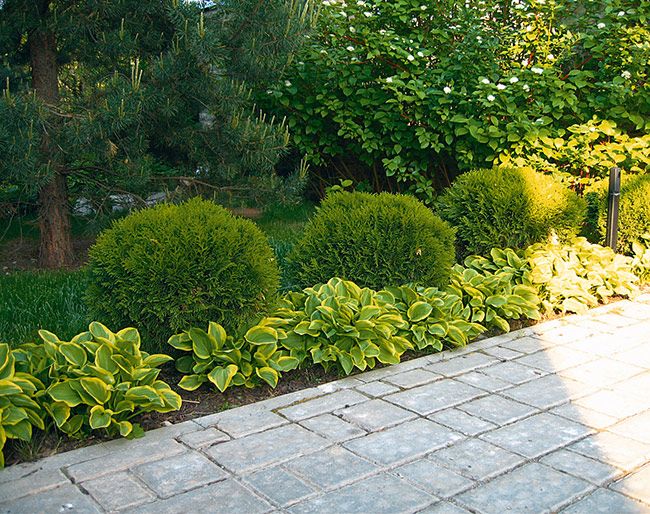 Проект сада в пейзажном стиле | Проекты садов | Журнал «Дом и сад»